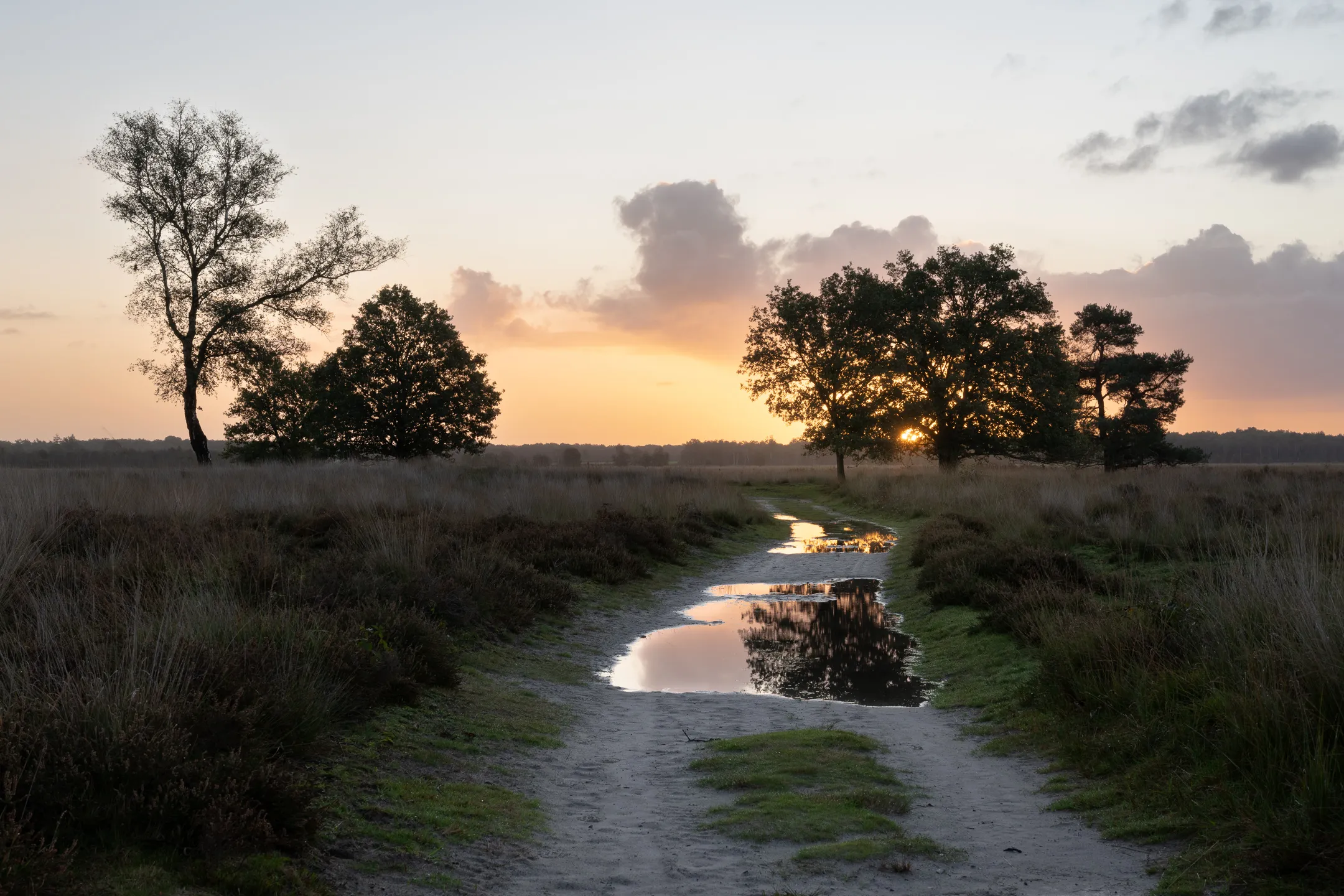 Landscape
