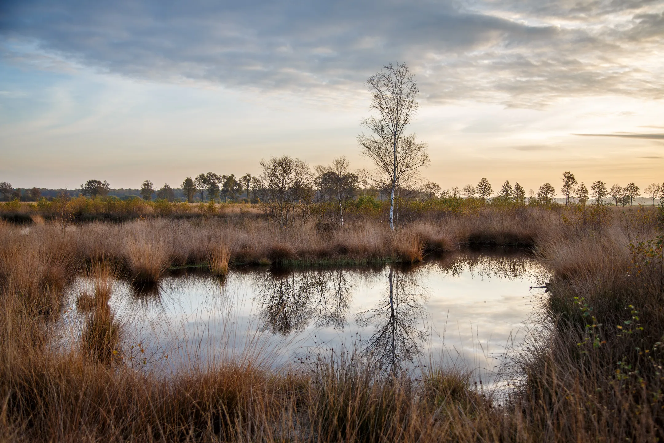 Landscape